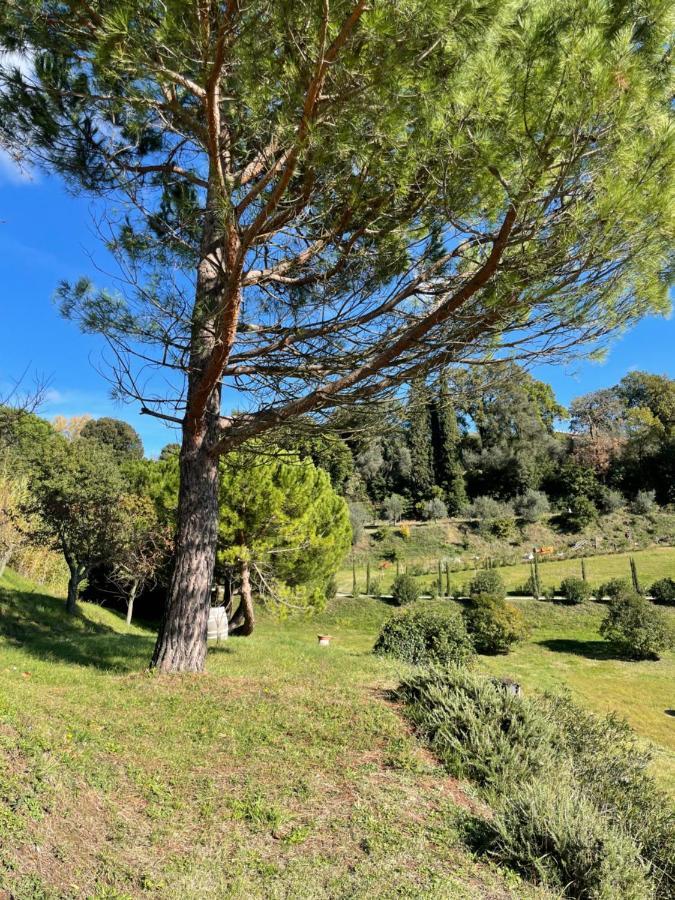Resort Panoramico Canale Suite - Private Parking - Natural Park Sinalunga Εξωτερικό φωτογραφία