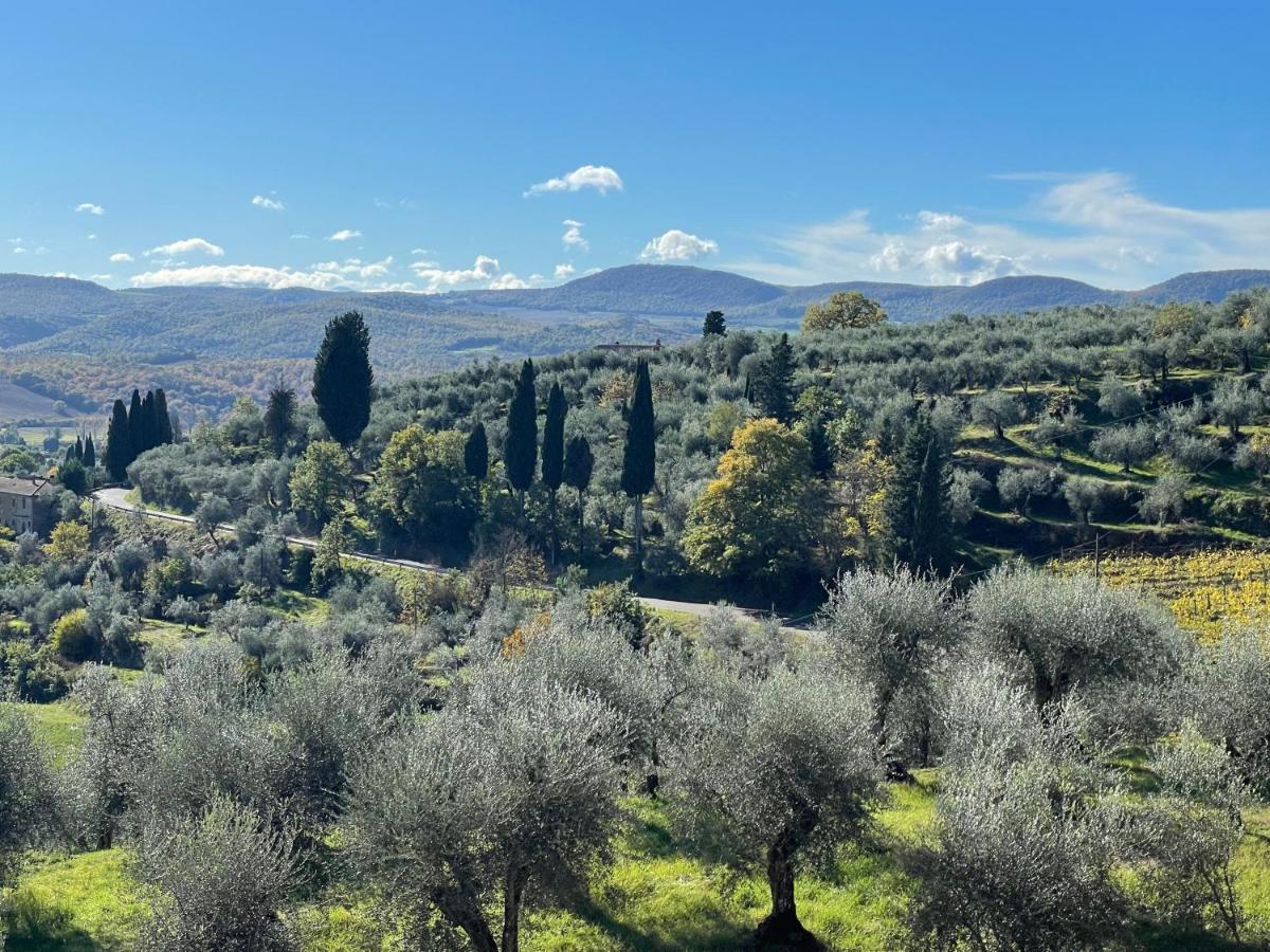 Resort Panoramico Canale Suite - Private Parking - Natural Park Sinalunga Εξωτερικό φωτογραφία