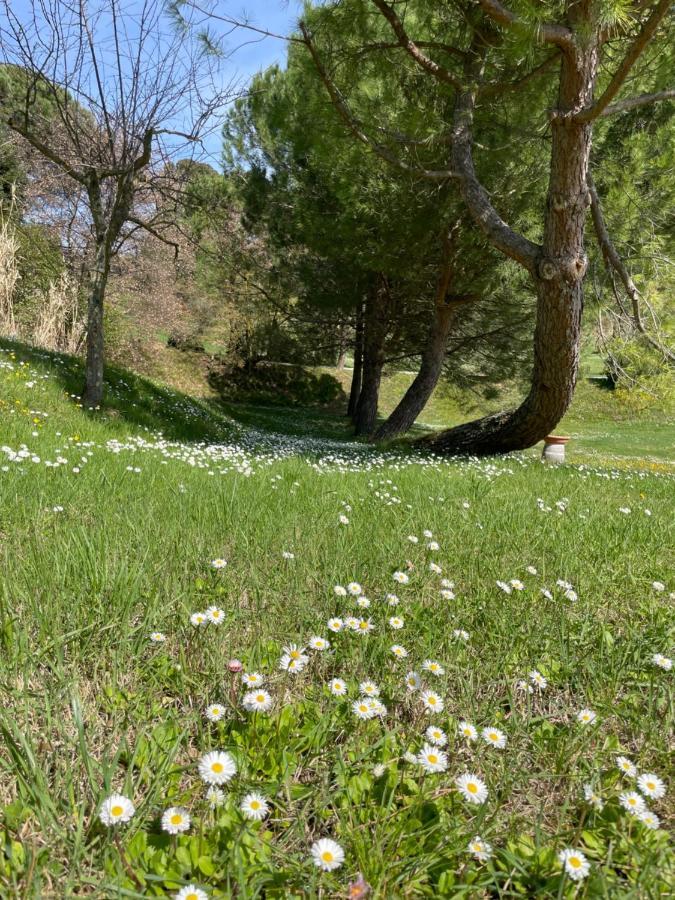 Resort Panoramico Canale Suite - Private Parking - Natural Park Sinalunga Εξωτερικό φωτογραφία