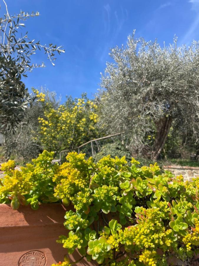 Resort Panoramico Canale Suite - Private Parking - Natural Park Sinalunga Εξωτερικό φωτογραφία